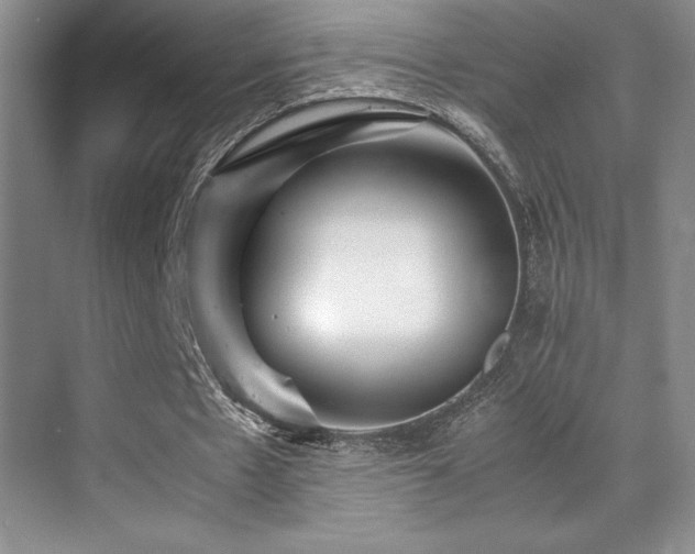 X0000070250481200606021200
