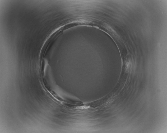 X0000070250484200606021200