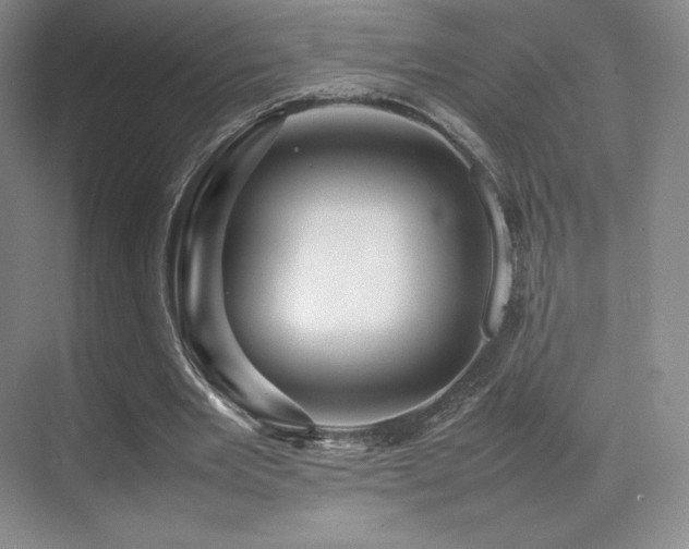 X0000070250485200606021200