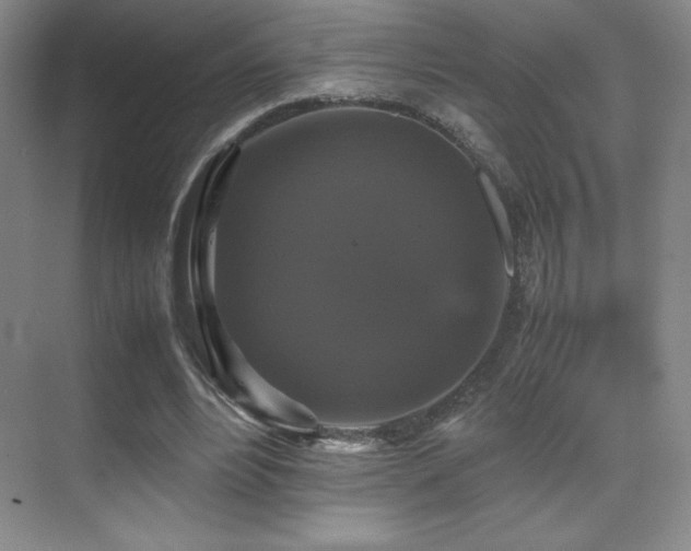 X0000070250488200606021200