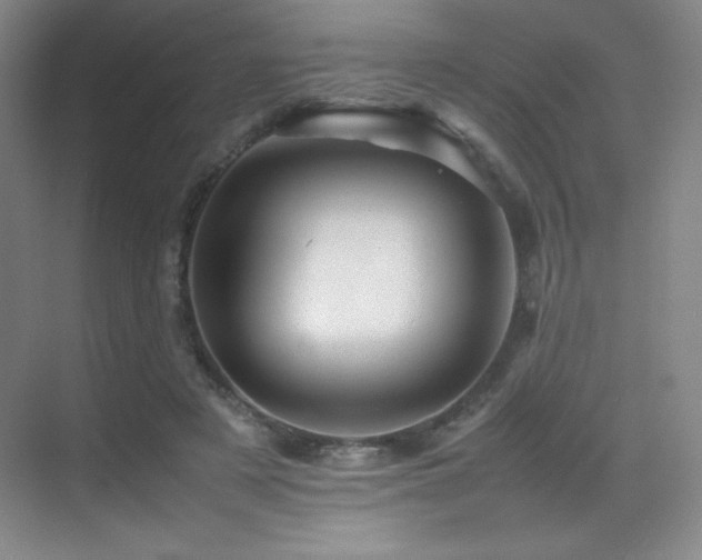 X0000070250497200606021159