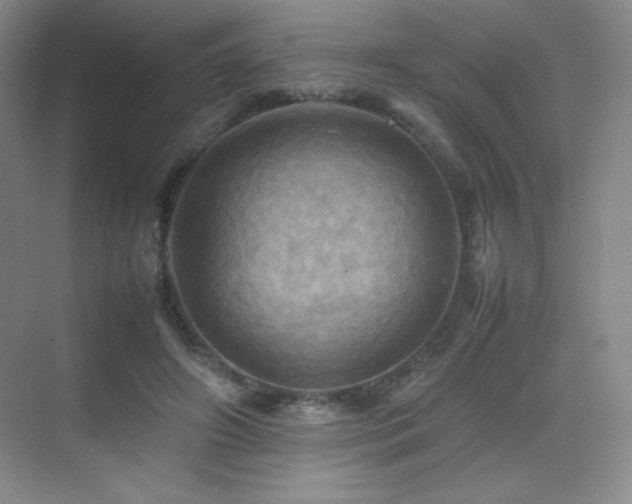X0000070250498200606021159