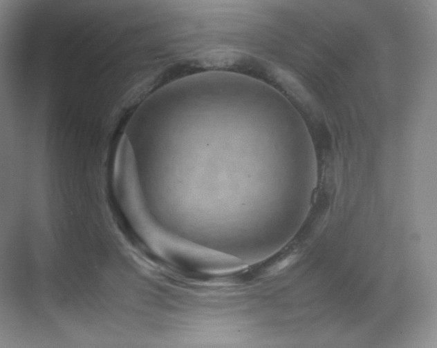 X0000070250501200606021159