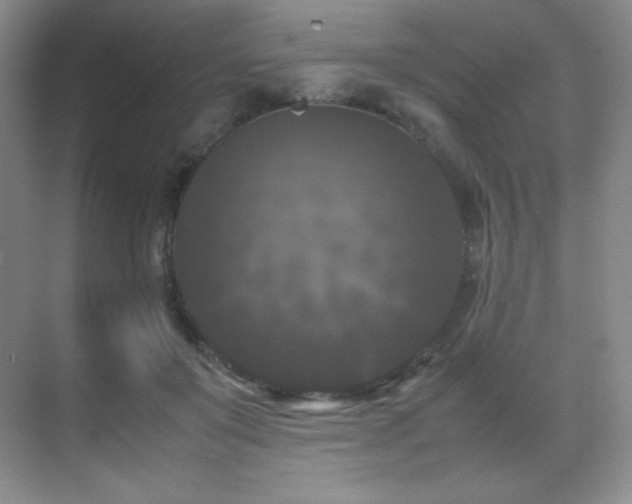 X0000070250503200606021159