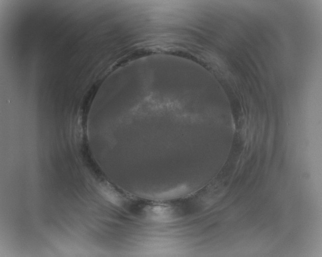 X0000070250506200606021159