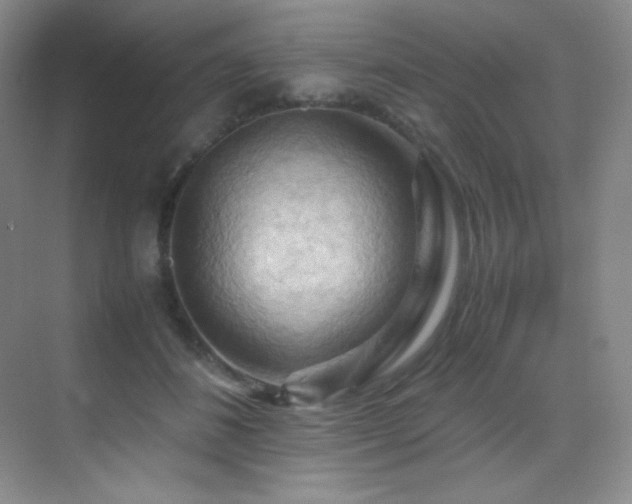 X0000070250508200606021159