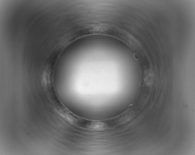 X0000070250514200606021159