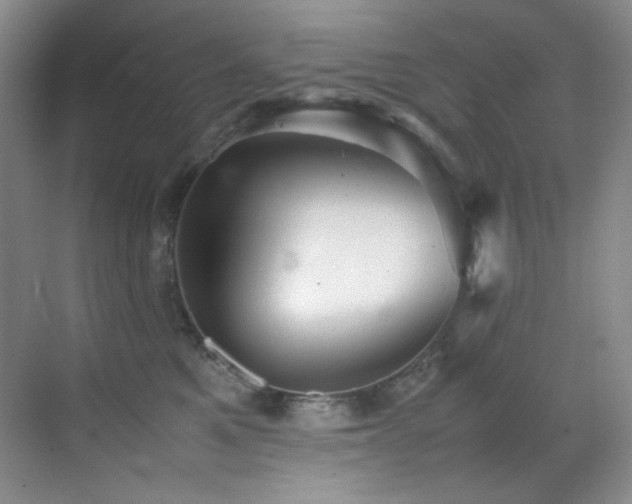 X0000070250521200606021159
