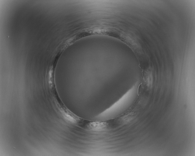 X0000070250526200606021159