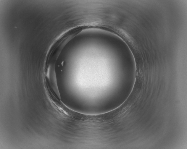 X0000070250532200606021158