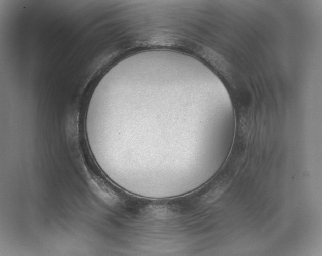 X0000070250534200606021158