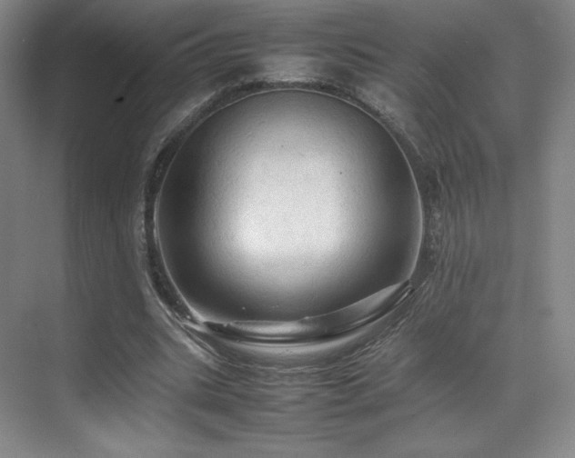 X0000070250535200606021158