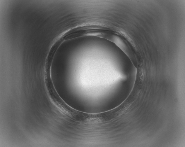 X0000070250536200606021158