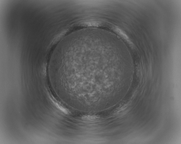 X0000070250537200606021158