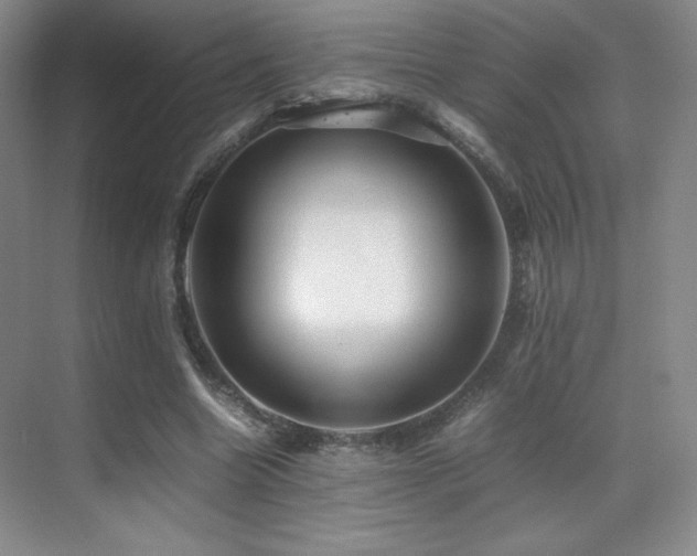 X0000070250538200606021158