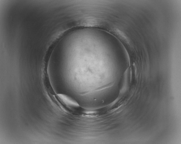 X0000070250540200606021158