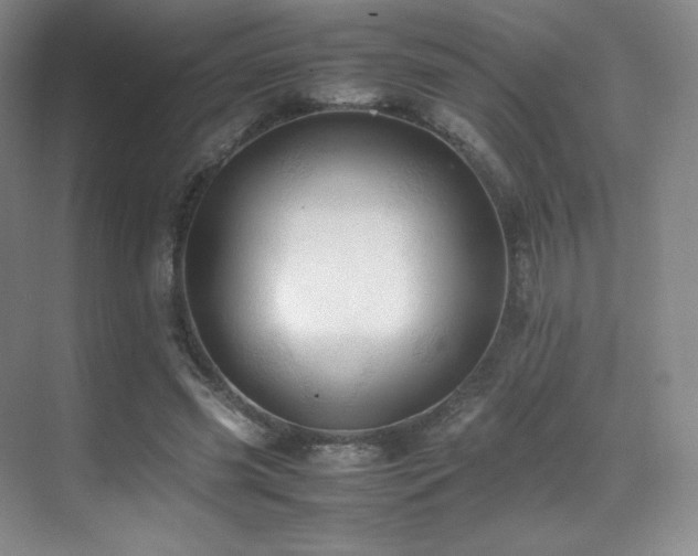 X0000070250541200606021158