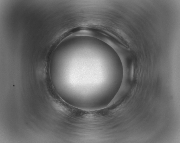 X0000070250544200606021158