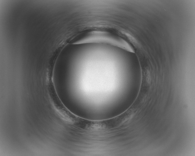 X0000070250546200606021158