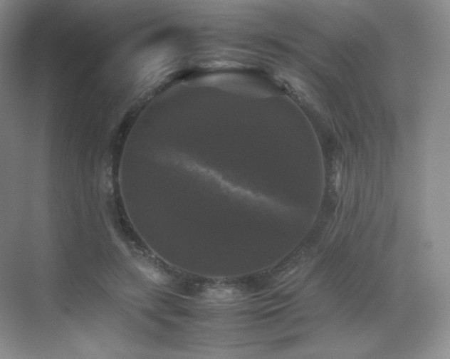 X0000070250547200606021158