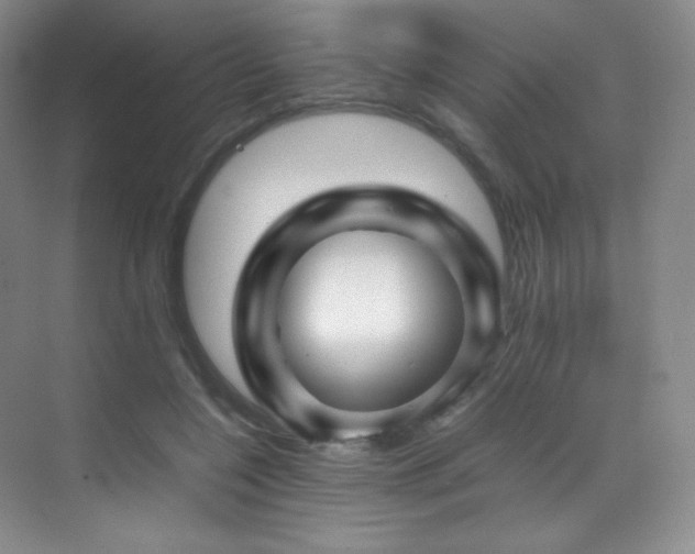 X0000070250548200606021158