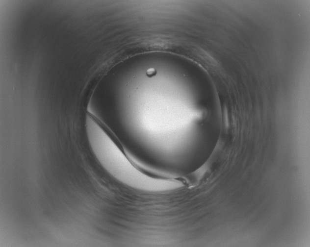X0000070250552200606021158