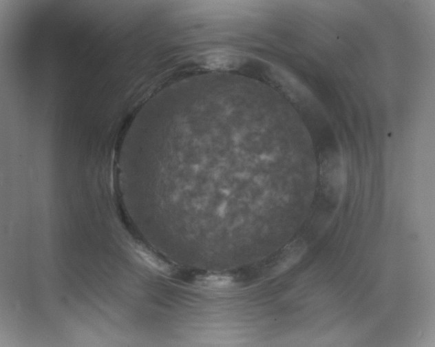 X0000070250554200606021159