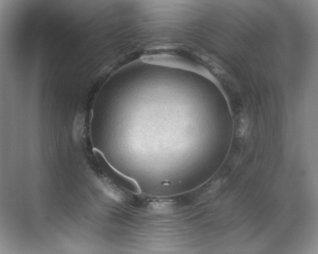 X0000070250560200606021159