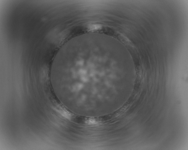X0000070250565200606021159