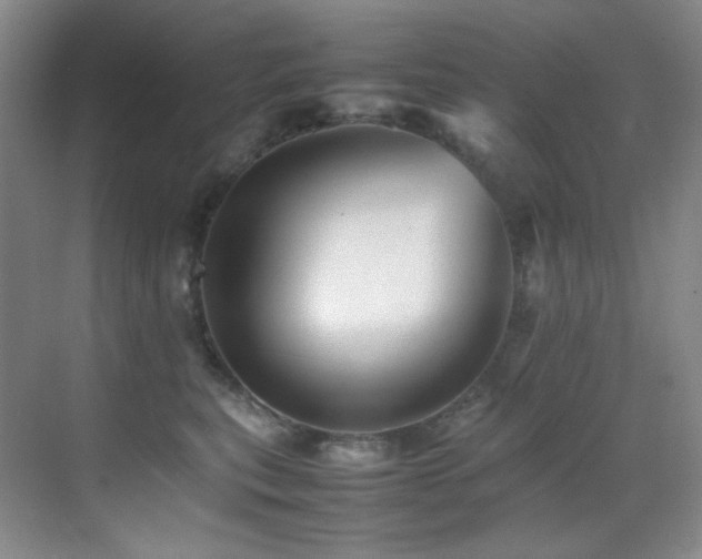 X0000070250567200606021159