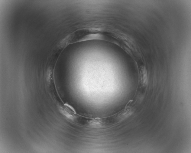 X0000070250574200606021159