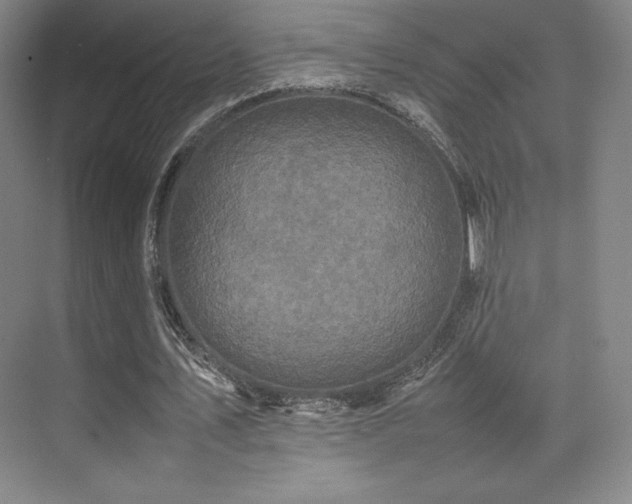 X0000070250579200606021158