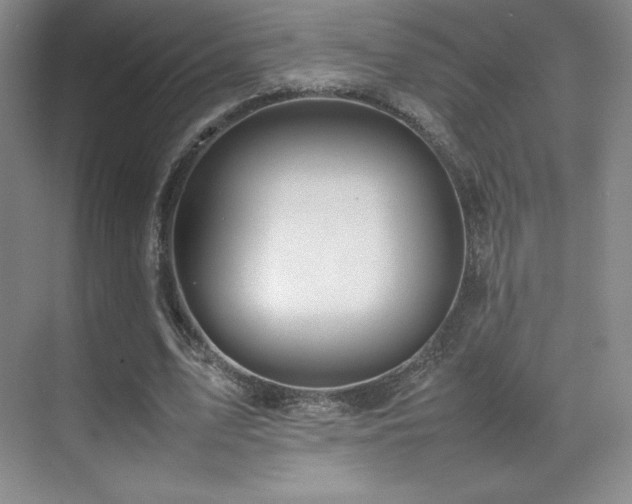 X0000070250583200606021158