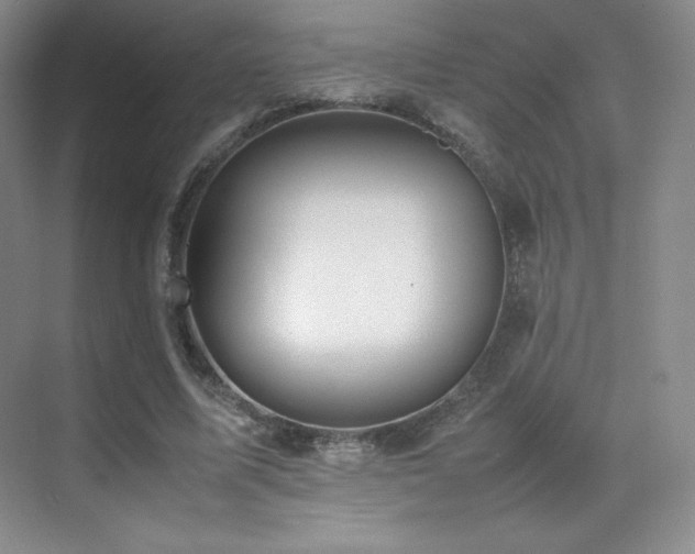 X0000070250587200606021158