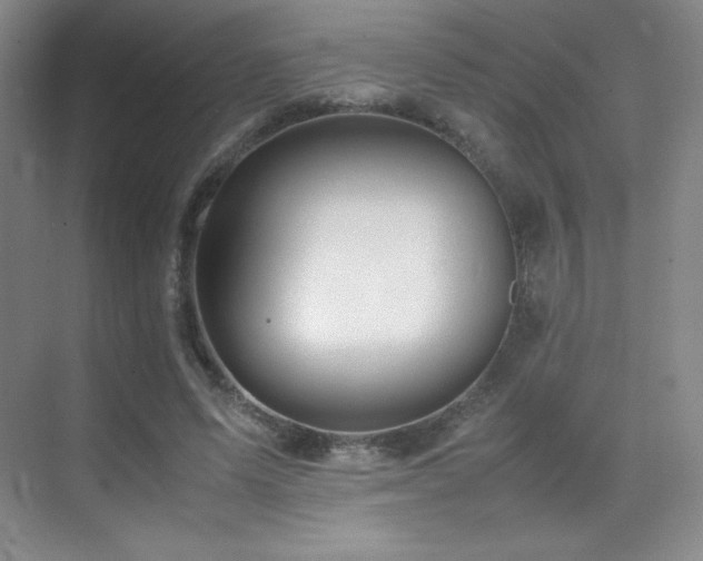 X0000070250591200606021158