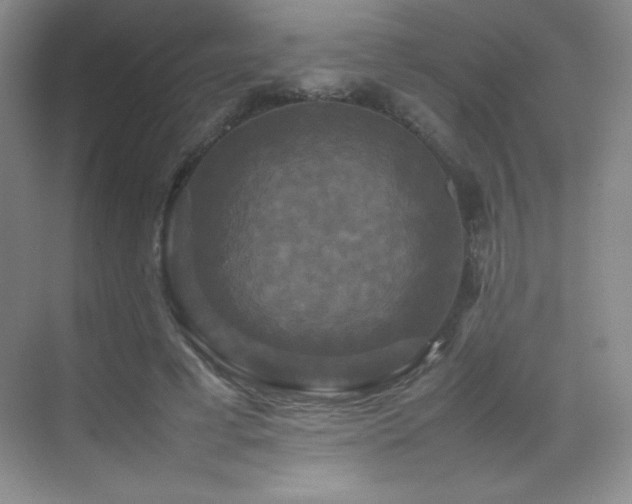 X0000070250593200606021158