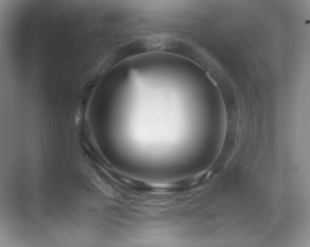 X0000070250601200606021158