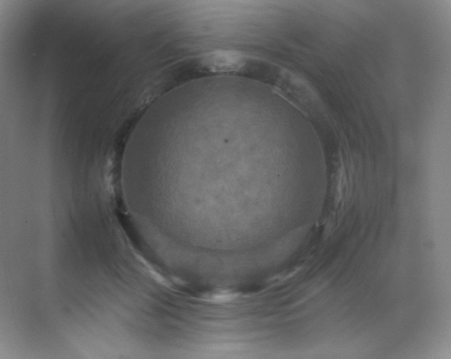 X0000070250604200606021158