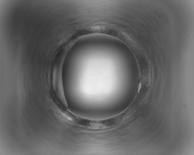 X0000070250605200606021158