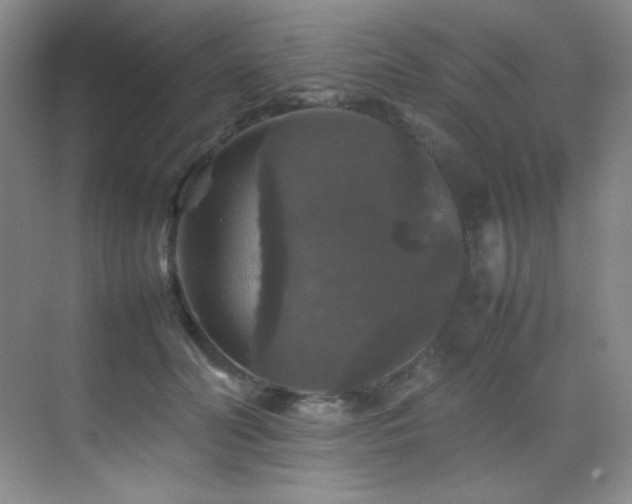 X0000070250606200606021158