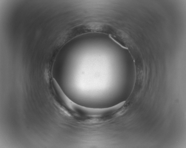X0000070250609200606021158