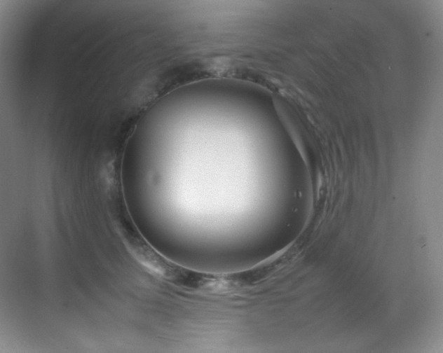 X0000070250611200606021158