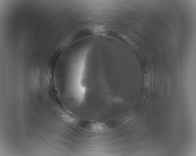 X0000070250618200606021157