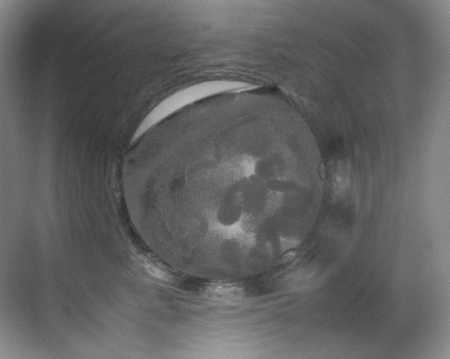 X0000070250619200606021157