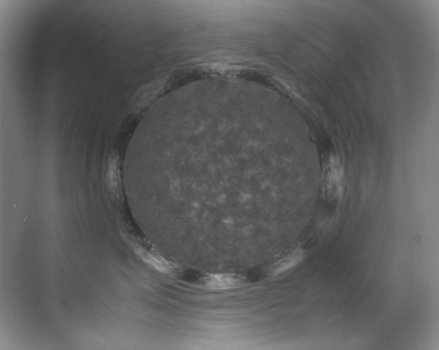 X0000070250623200606021157