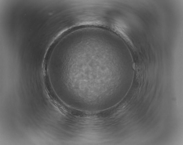 X0000070250628200606021157