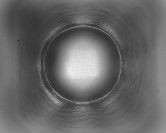 X0000070250629200606021157