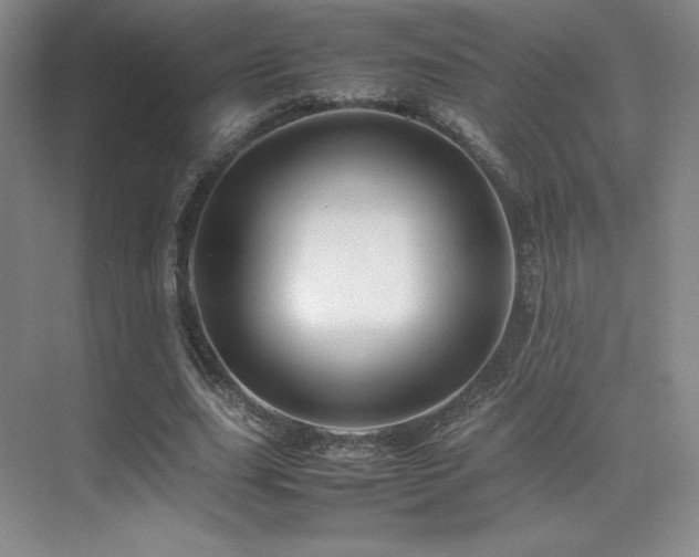 X0000070250631200606021157