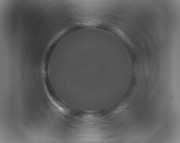 X0000070250634200606021157