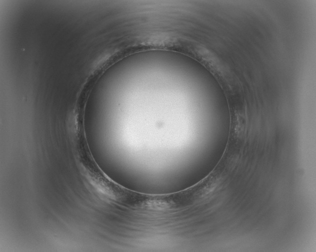 X0000070250636200606021157